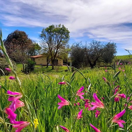 Agriturismo La Sorgente فونتيبلاندا المظهر الخارجي الصورة