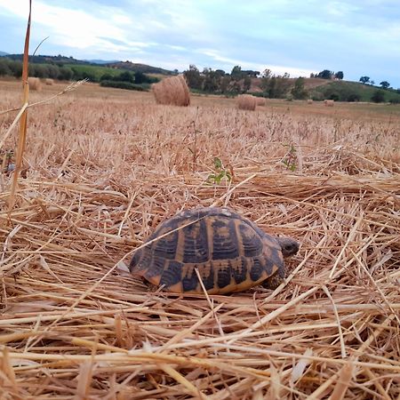 Agriturismo La Sorgente فونتيبلاندا المظهر الخارجي الصورة