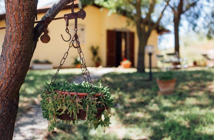 Agriturismo La Sorgente فونتيبلاندا المظهر الخارجي الصورة