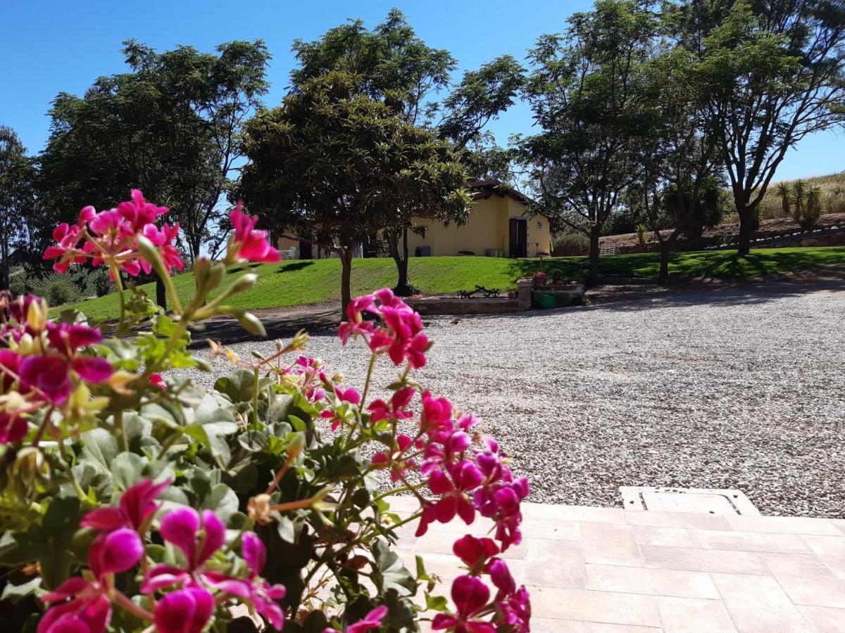 Agriturismo La Sorgente فونتيبلاندا المظهر الخارجي الصورة