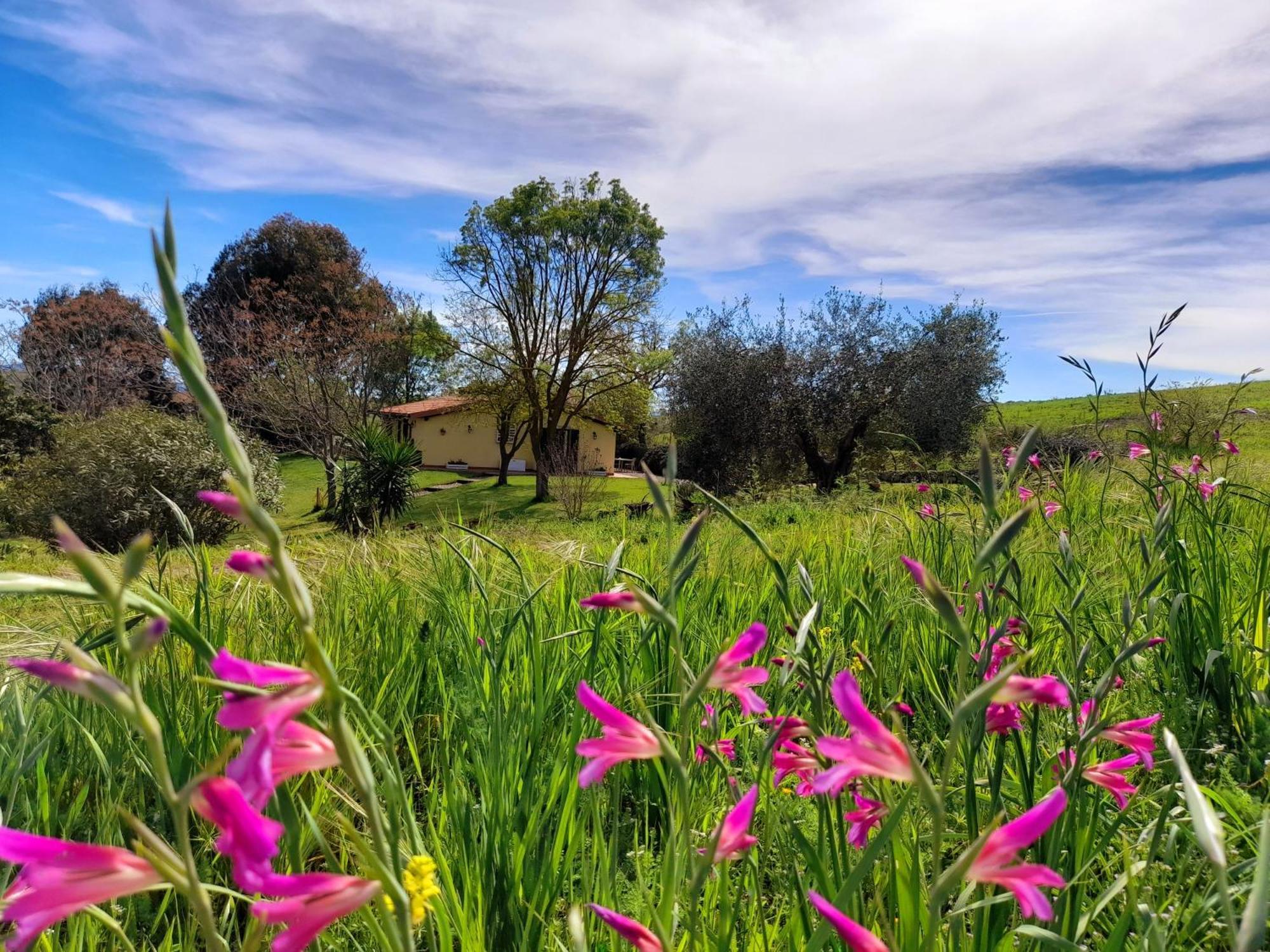 Agriturismo La Sorgente فونتيبلاندا المظهر الخارجي الصورة