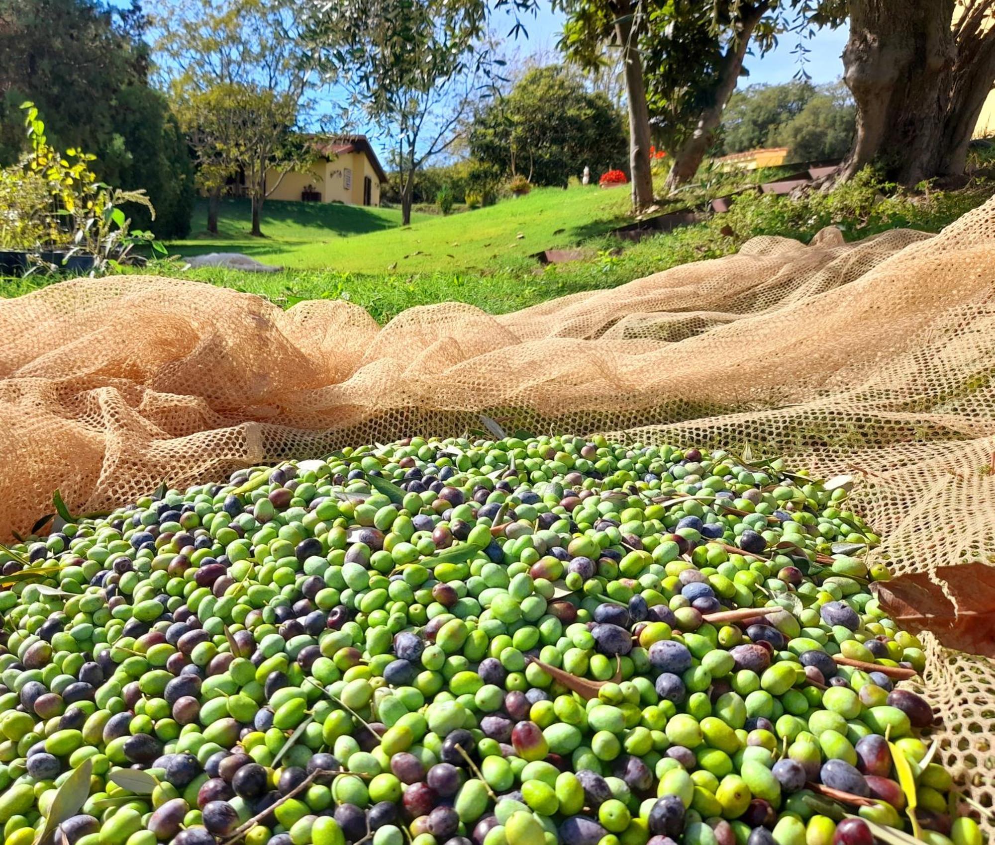 Agriturismo La Sorgente فونتيبلاندا المظهر الخارجي الصورة