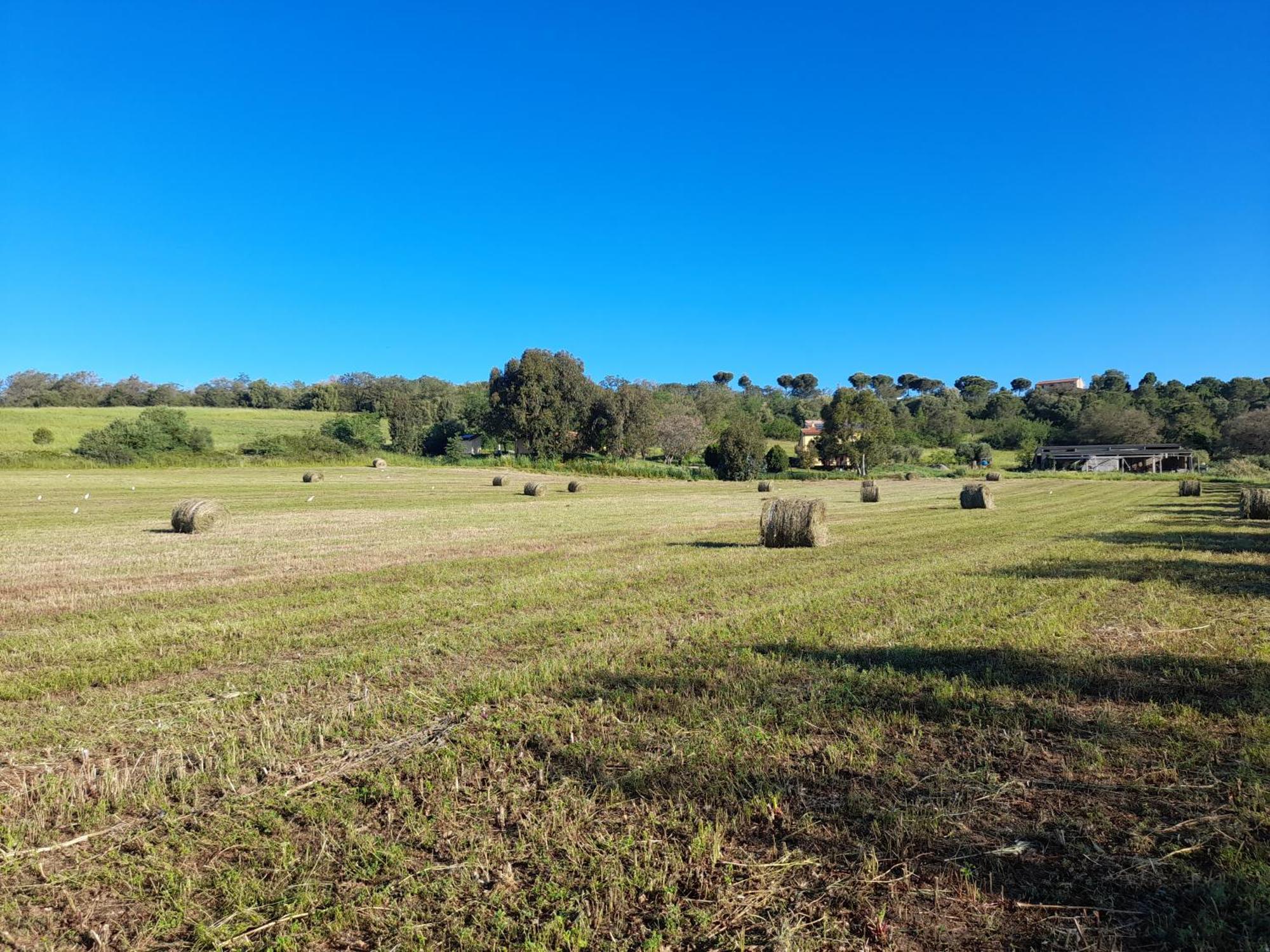 Agriturismo La Sorgente فونتيبلاندا المظهر الخارجي الصورة